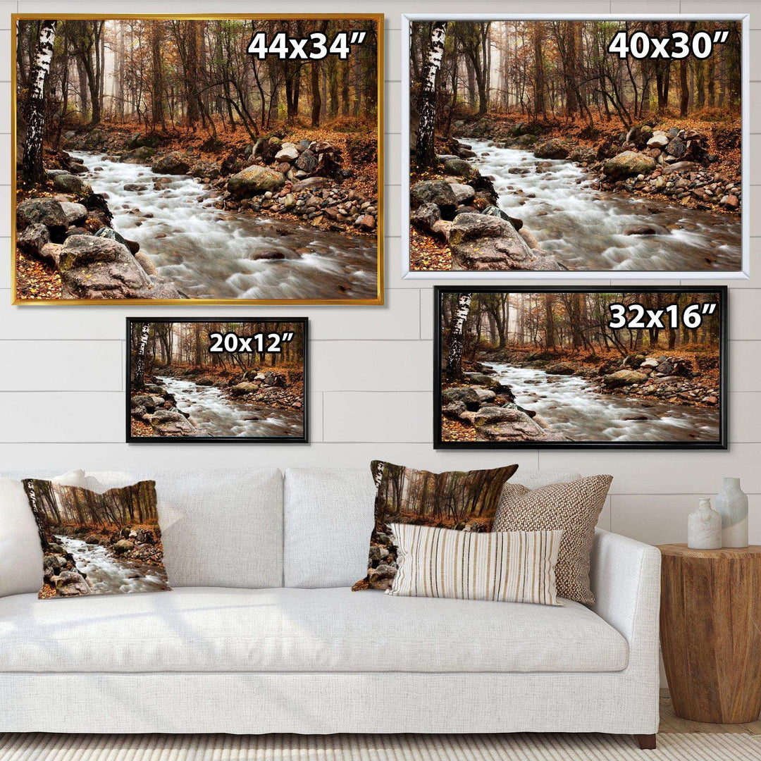 Stream in Autumn Forest