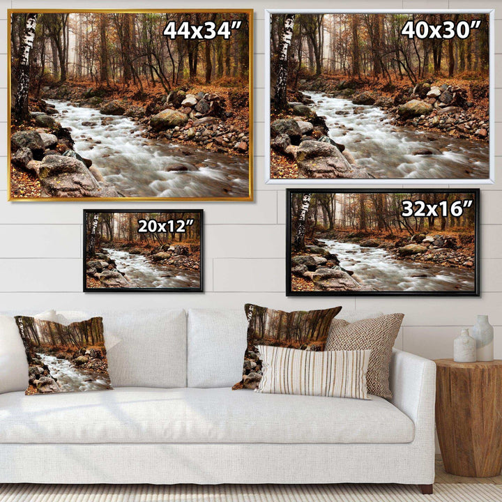 Stream in Autumn Forest