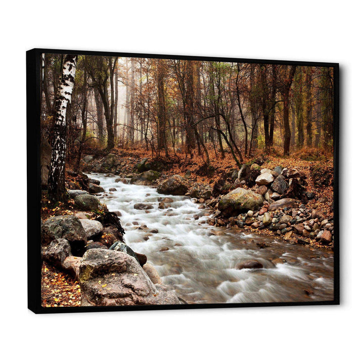 Stream in Autumn Forest