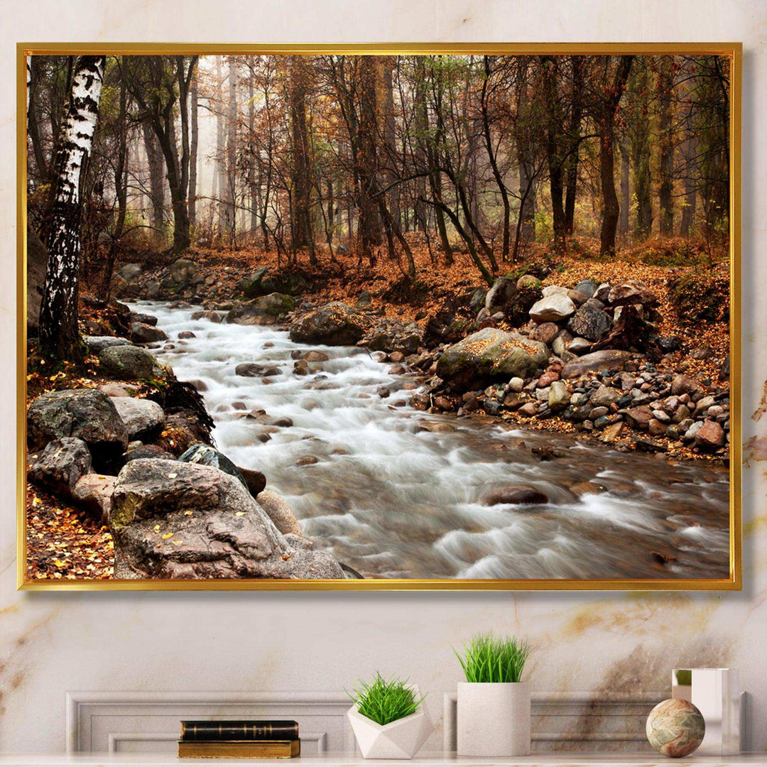 Stream in Autumn Forest