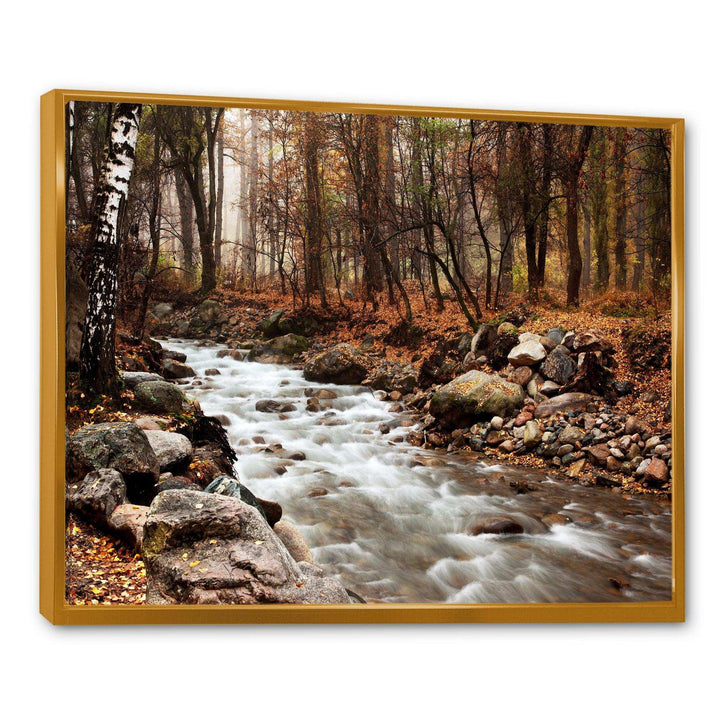 Stream in Autumn Forest