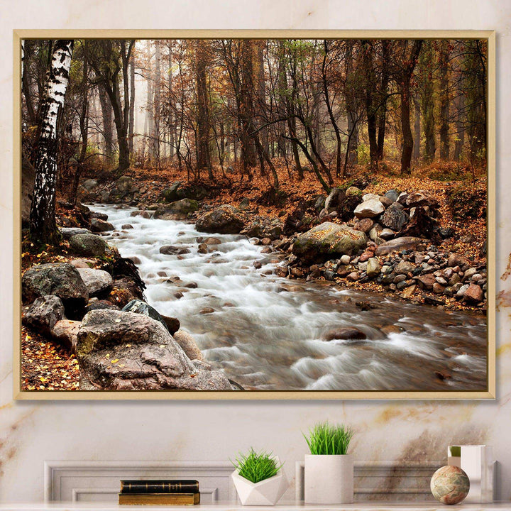 Stream in Autumn Forest