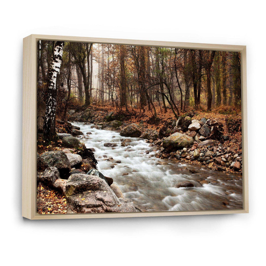 Stream in Autumn Forest