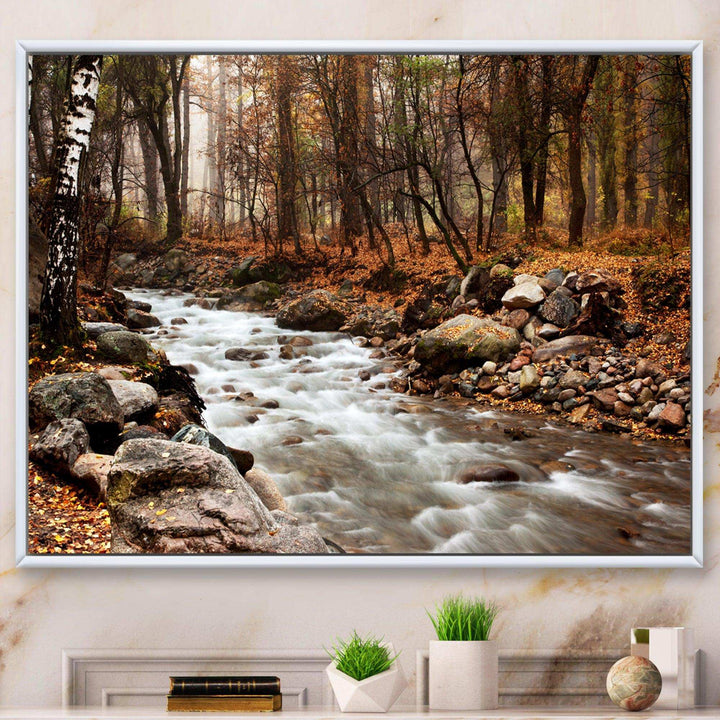 Stream in Autumn Forest