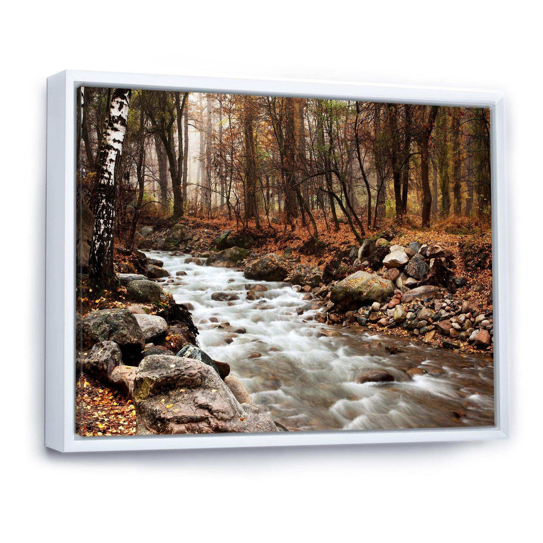 Stream in Autumn Forest
