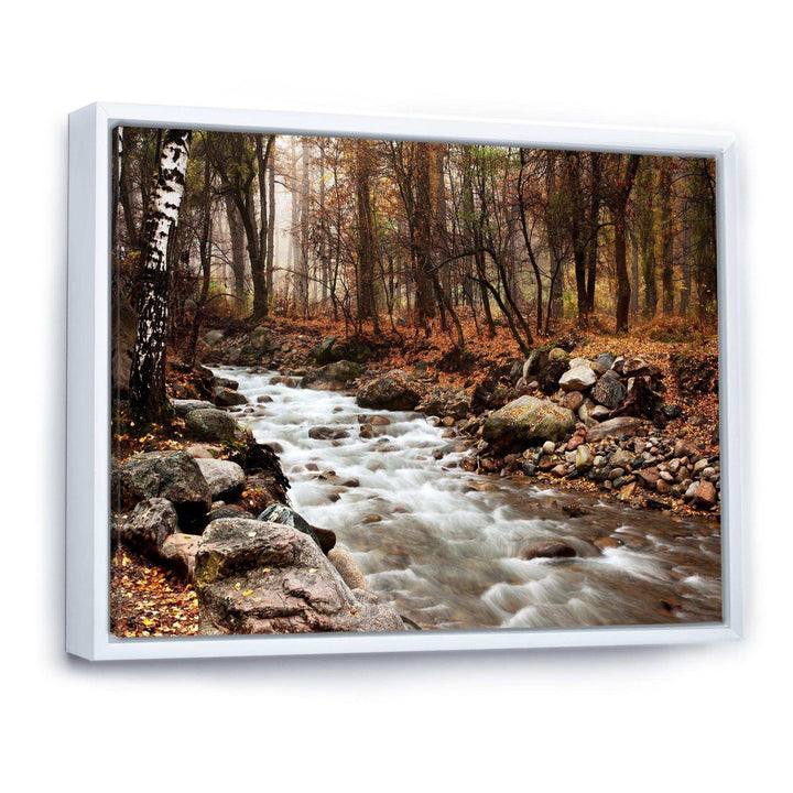 Stream in Autumn Forest