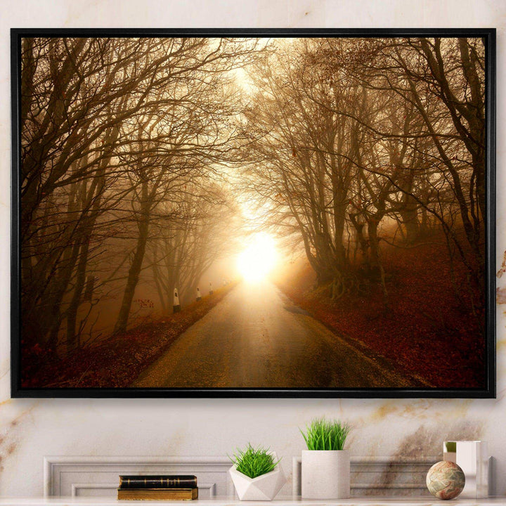 Path to Sunlight in Autumn Forest