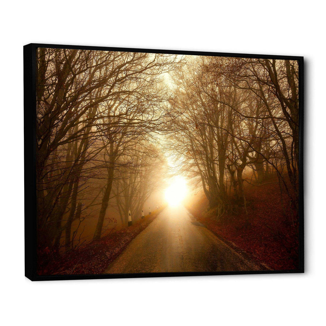 Path to Sunlight in Autumn Forest