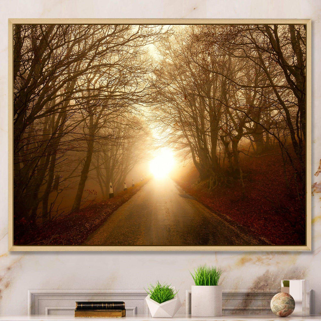 Path to Sunlight in Autumn Forest