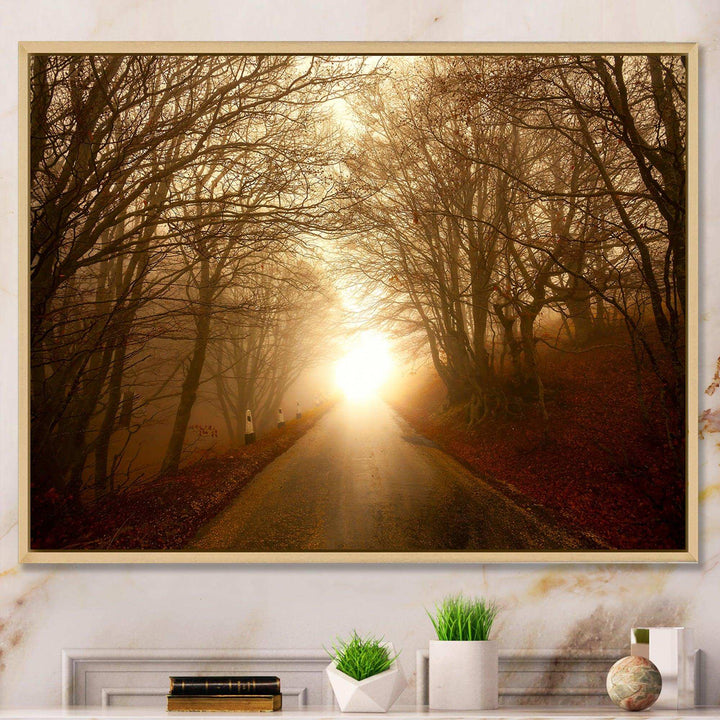 Path to Sunlight in Autumn Forest