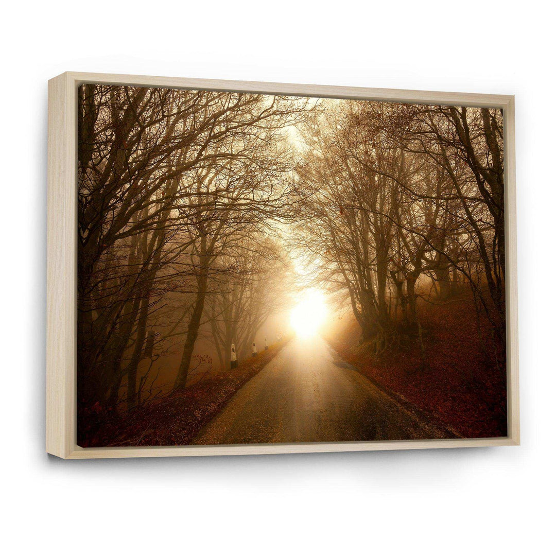 Path to Sunlight in Autumn Forest