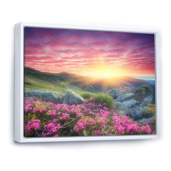 Morning with Flowers in Mountains