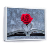Red Rose Inside the Book