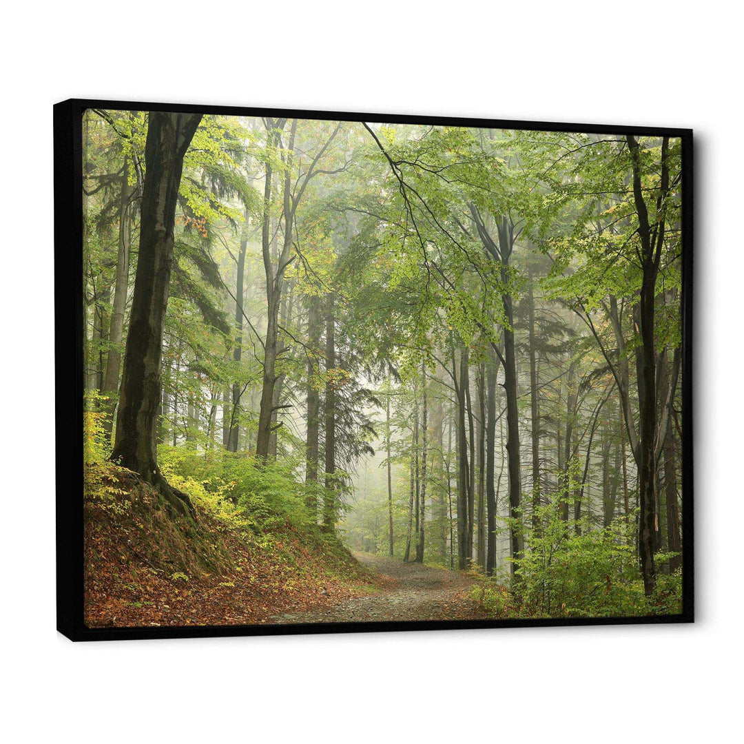 Green Beach Forest Pathway