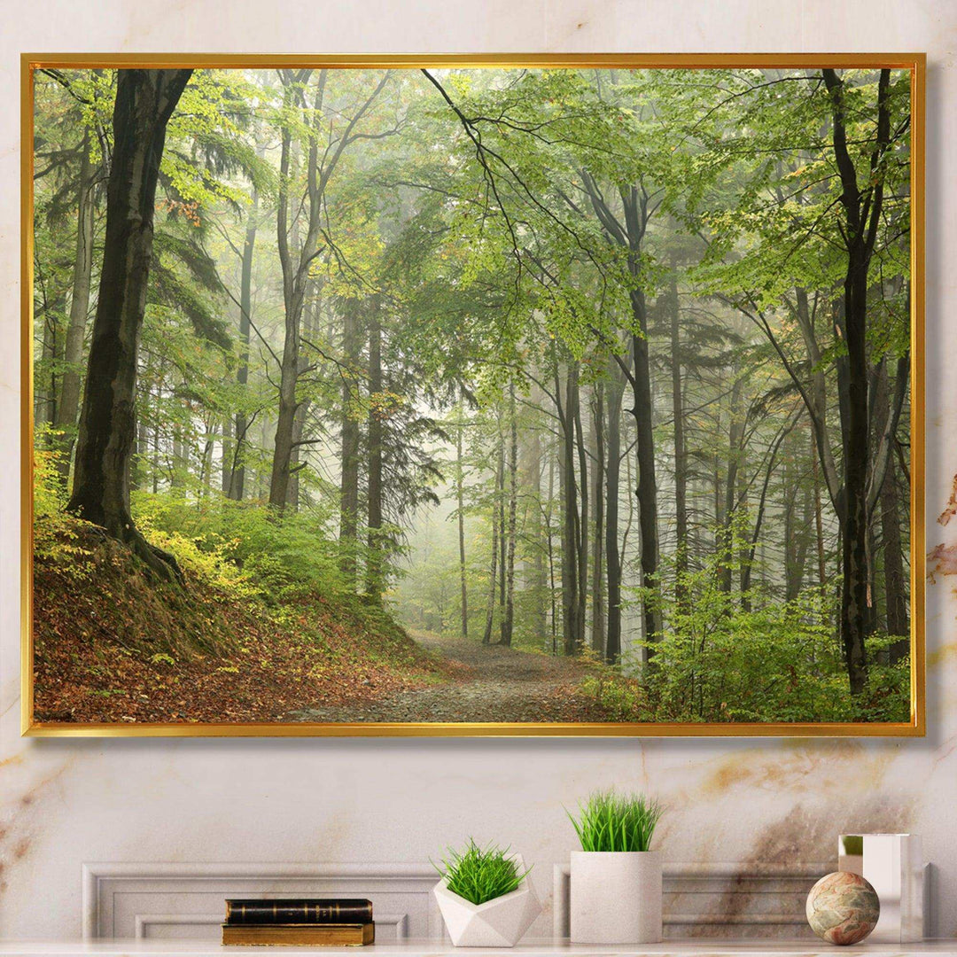 Green Beach Forest Pathway