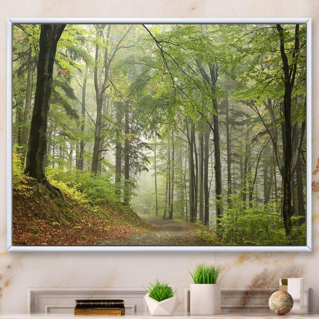 Green Beach Forest Pathway