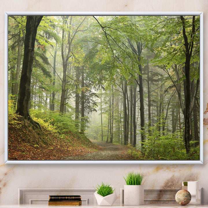 Green Beach Forest Pathway