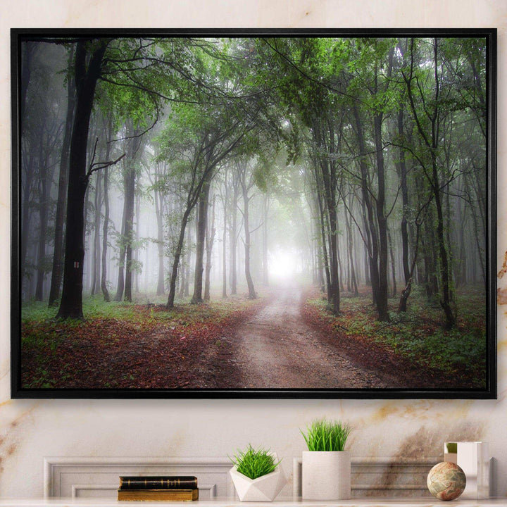 Light Through Green Fall Forest