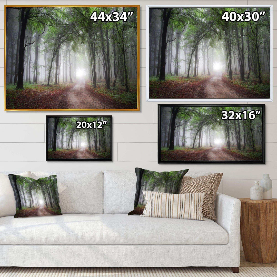 Light Through Green Fall Forest