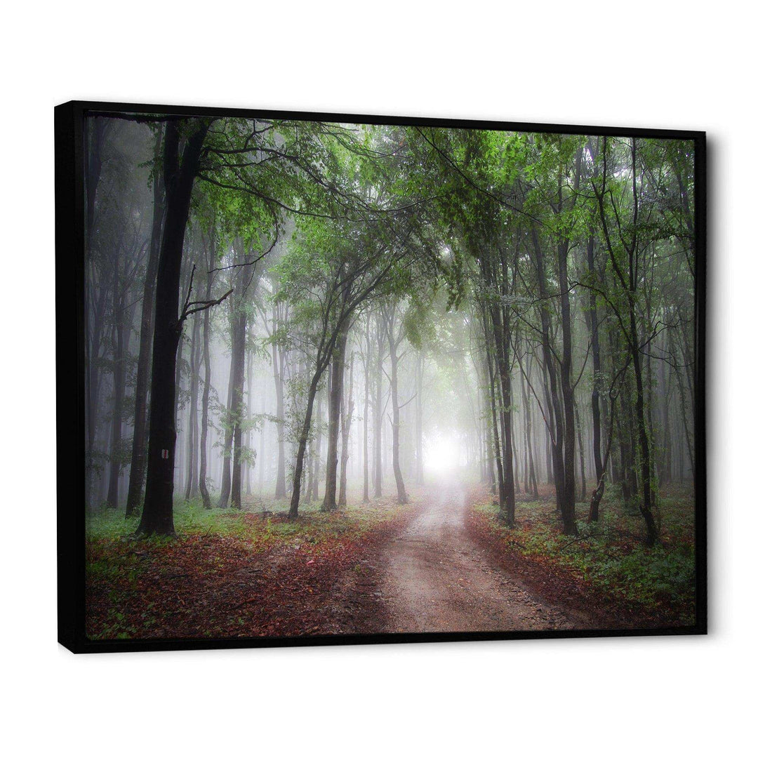 Light Through Green Fall Forest