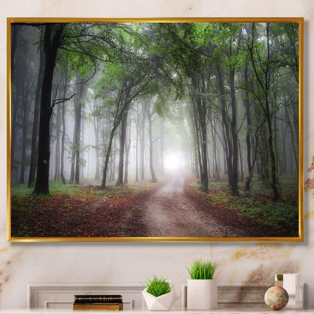 Light Through Green Fall Forest