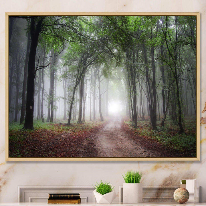 Light Through Green Fall Forest