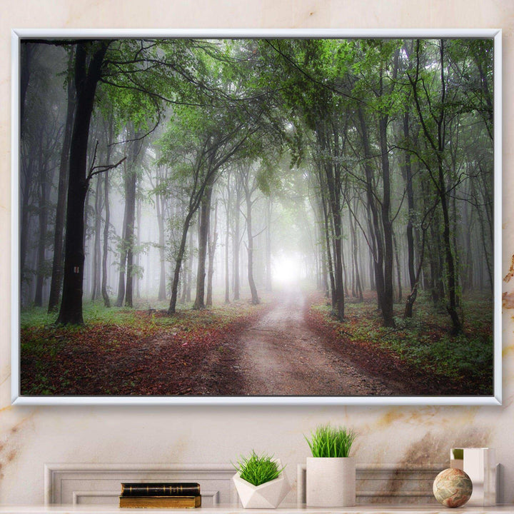 Light Through Green Fall Forest