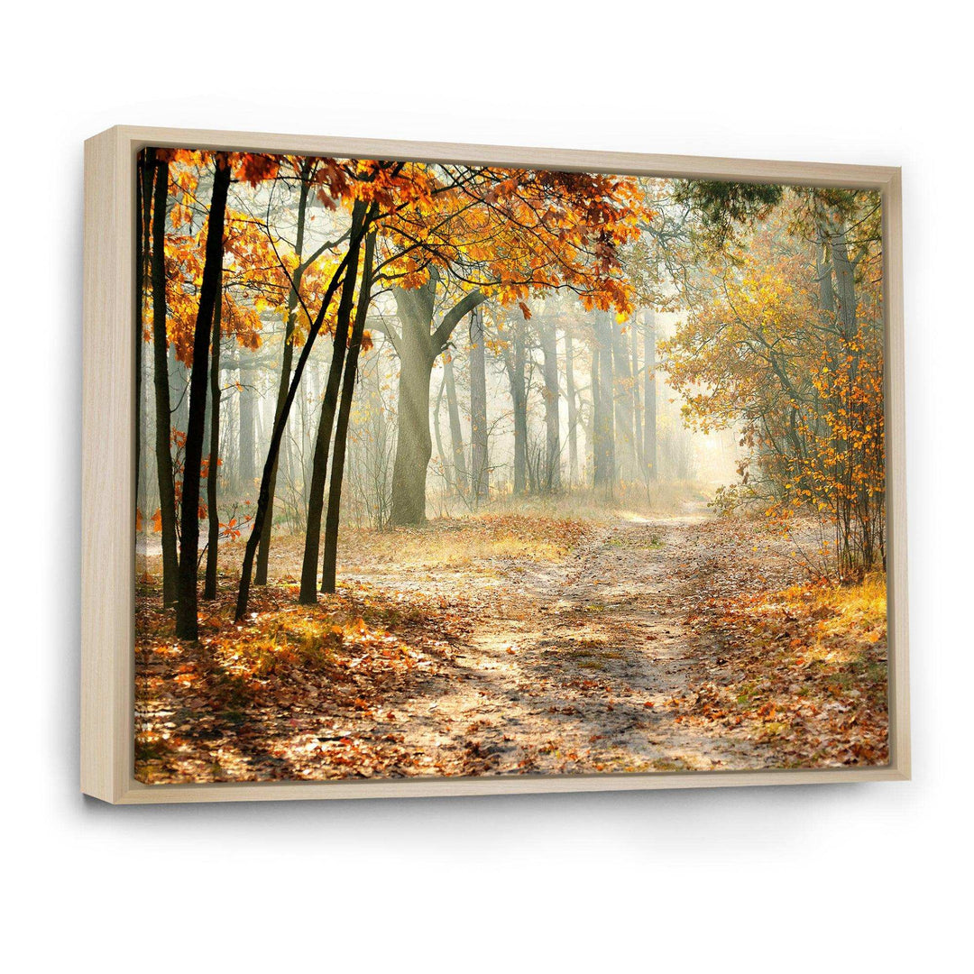 Bright Yellow Fall Morning