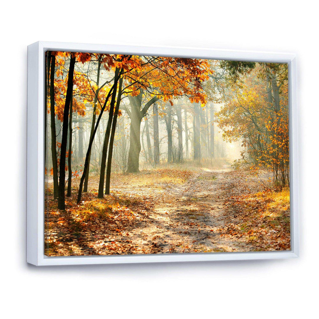 Bright Yellow Fall Morning