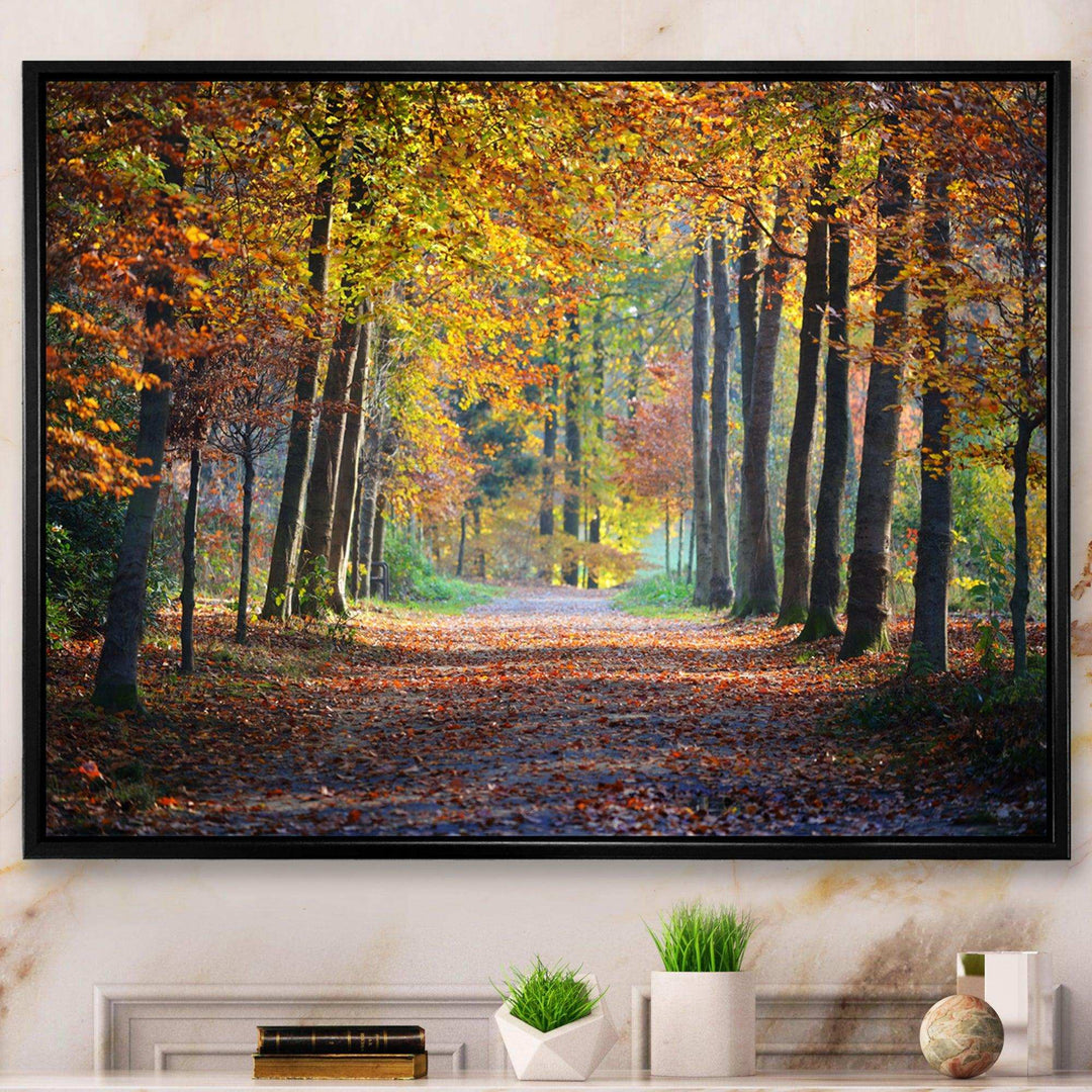 Wide Pathway in Yellow Fall Forest