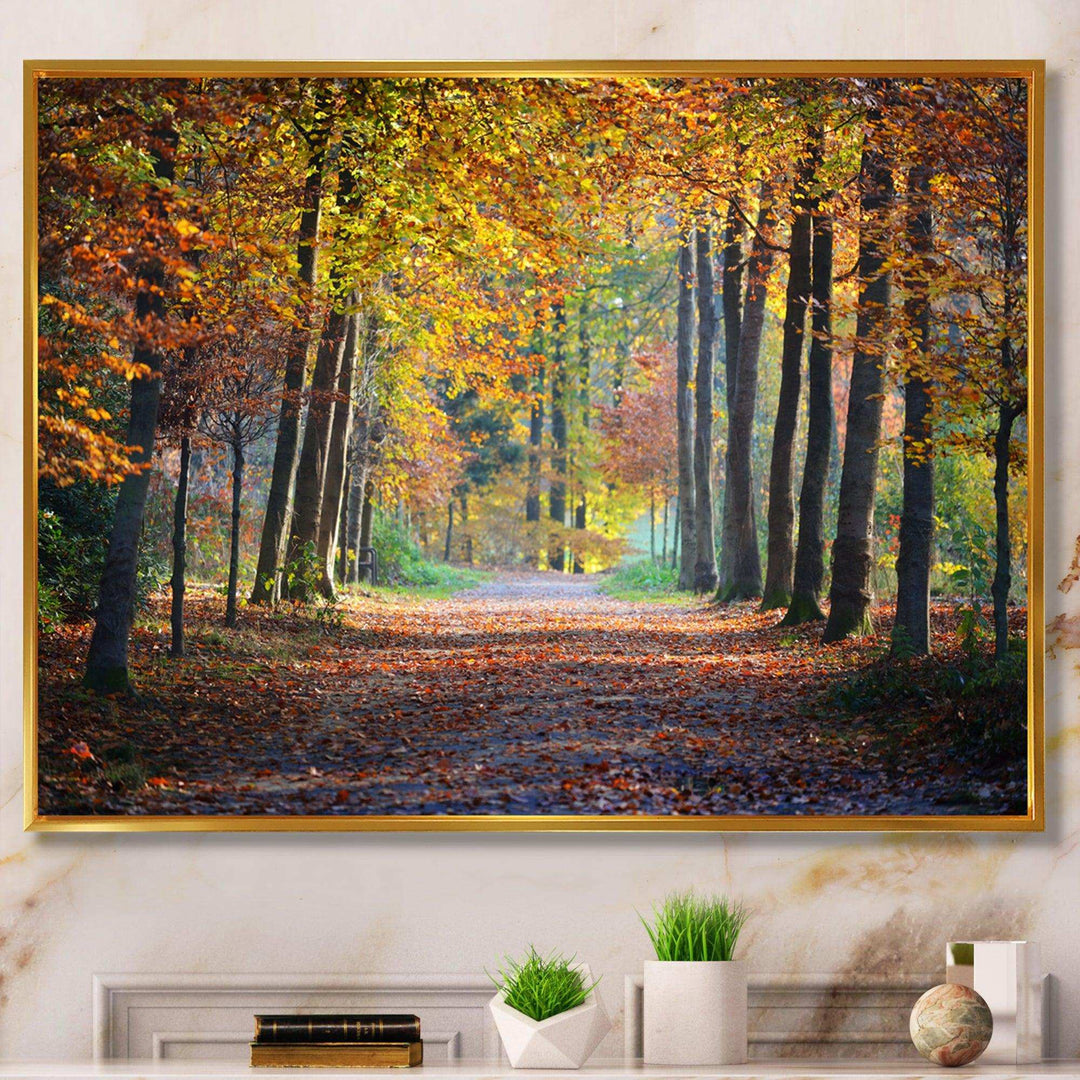 Wide Pathway in Yellow Fall Forest