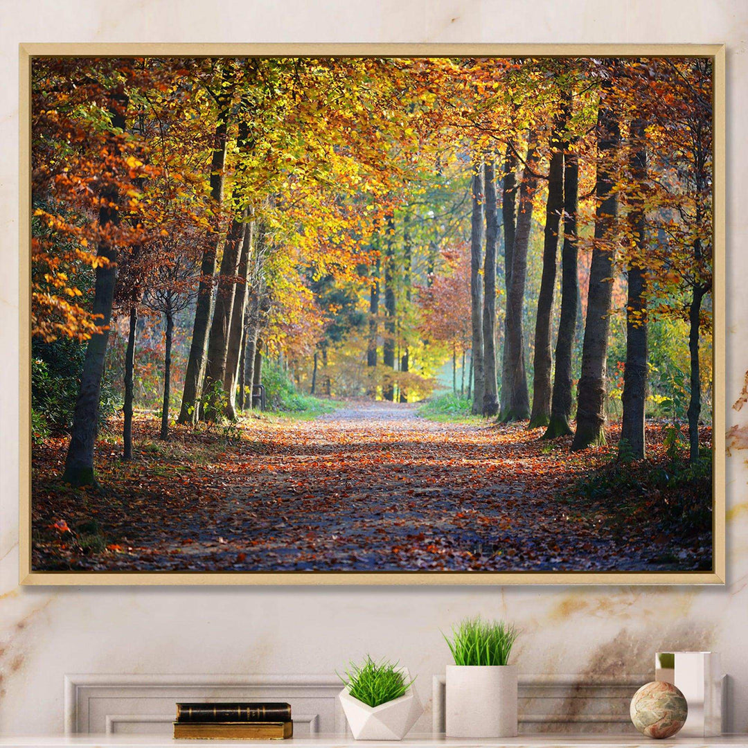 Wide Pathway in Yellow Fall Forest