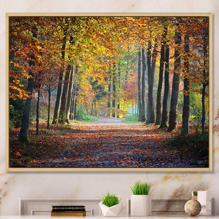 Wide Pathway in Yellow Fall Forest