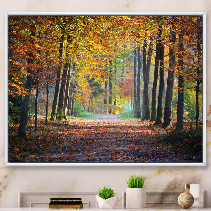 Wide Pathway in Yellow Fall Forest