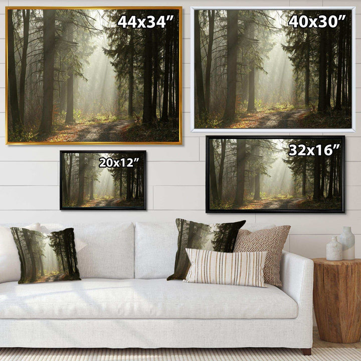 Dark Green Forest with Sun Rays