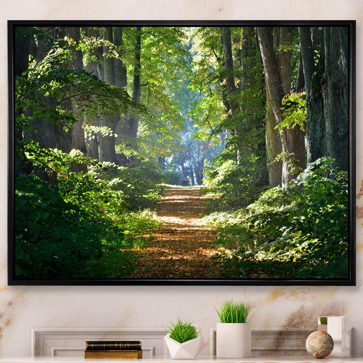 Bright Green Forest in Morning