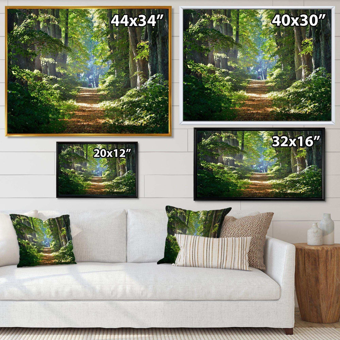 Bright Green Forest in Morning