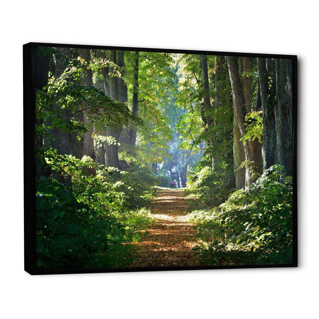 Bright Green Forest in Morning