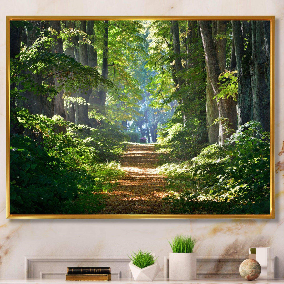 Bright Green Forest in Morning