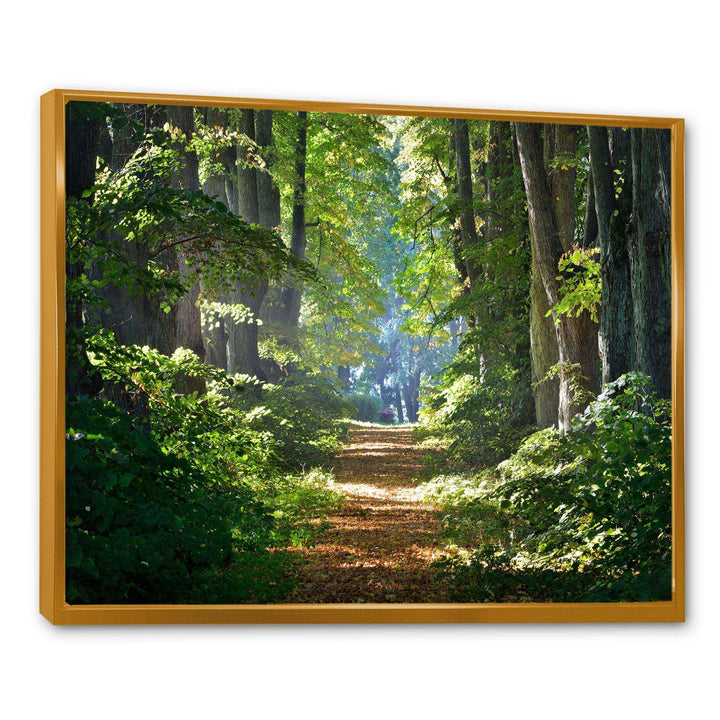 Bright Green Forest in Morning