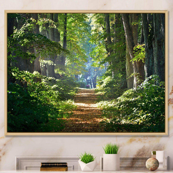Bright Green Forest in Morning