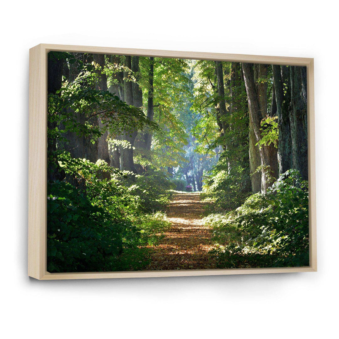 Bright Green Forest in Morning
