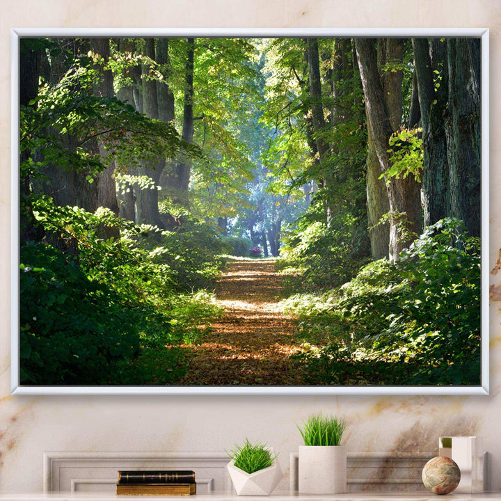 Bright Green Forest in Morning