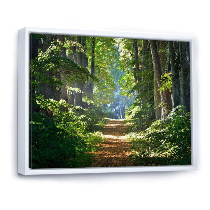 Bright Green Forest in Morning