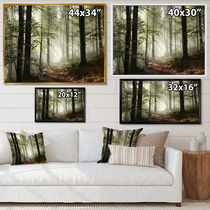 Light in Dense Fall Forest with Fog