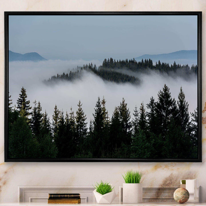 Dark Trees and Fog Over Mountains