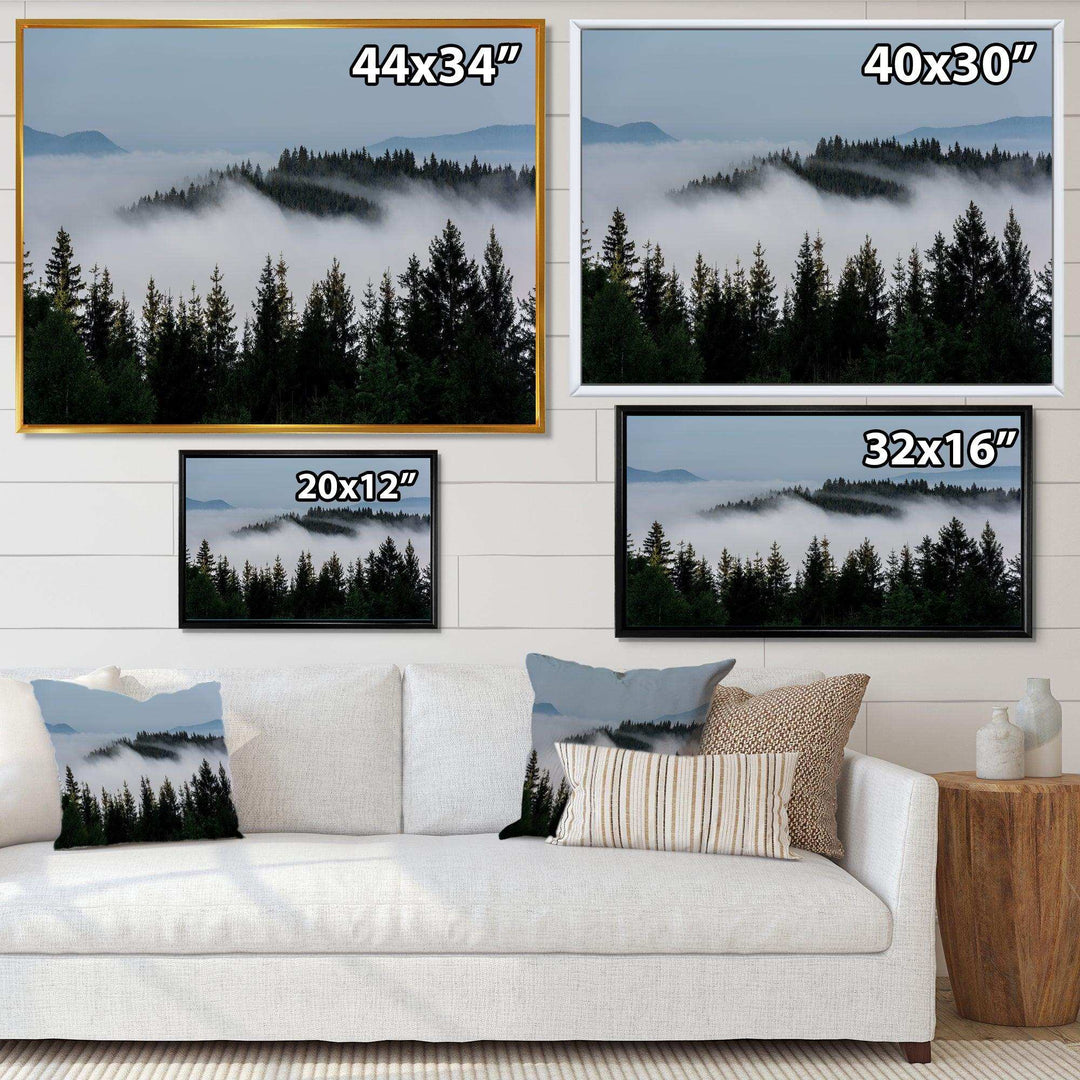 Dark Trees and Fog Over Mountains
