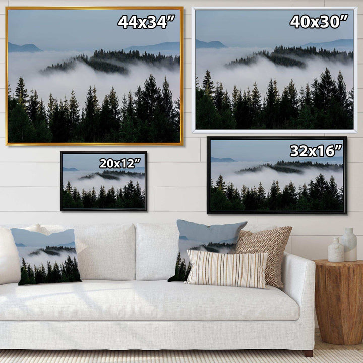 Dark Trees and Fog Over Mountains