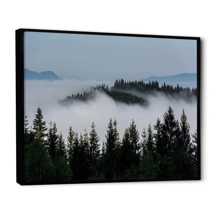 Dark Trees and Fog Over Mountains
