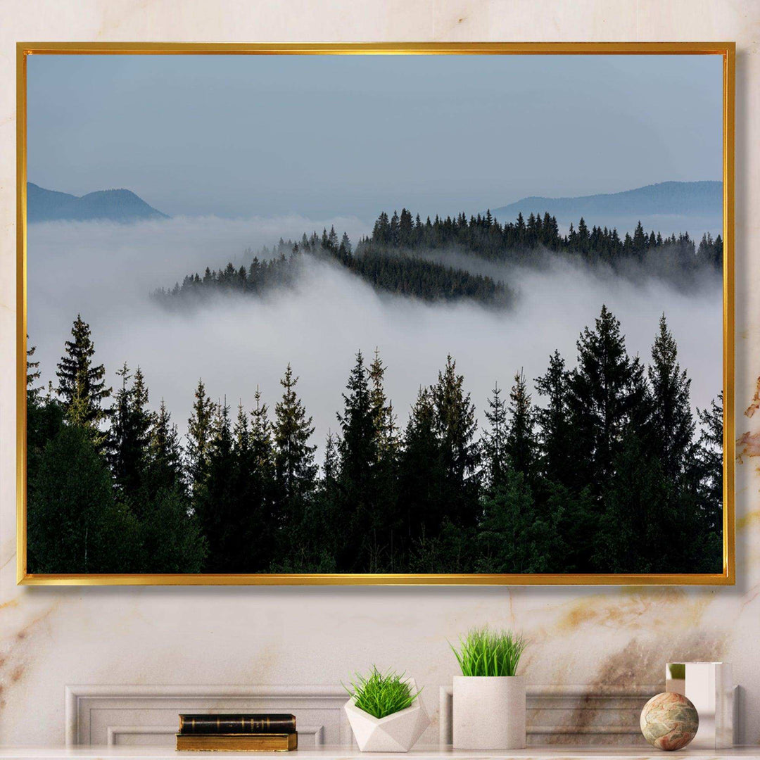 Dark Trees and Fog Over Mountains